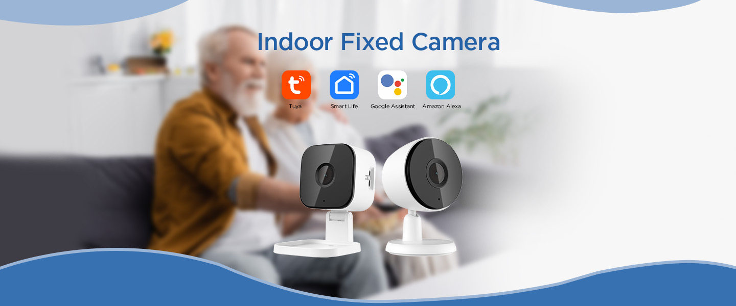 IP Camera fixed